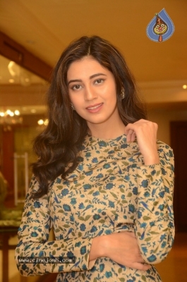 Andleeb Zaidi Photos - 20 of 21