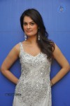 Angela Kumar Hot Stills - 61 of 151