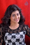 Anisha Singh Latest Stills - 63 of 81