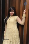 Anjali New Photos - 1 of 95