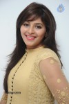 Anjali New Photos - 3 of 95