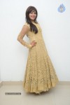 Anjali New Photos - 43 of 95