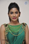 Anjali Patil Stills - 46 of 51