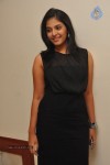 Anjali Stills - 24 of 33