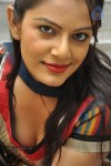 Anjali Stills  - 1 of 39