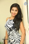 Anjali Stills - 63 of 77