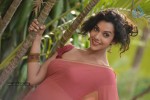 Anu Priya New Gallery - 64 of 124