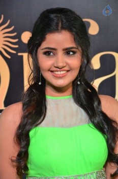 Anupama Parameshwaran at IIFA 2017 - 3 of 53