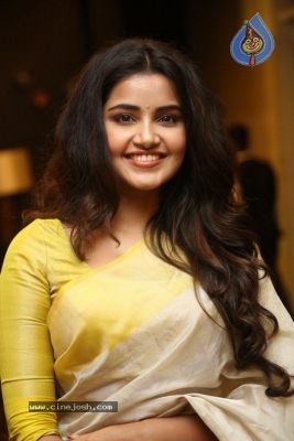 Anupama Parameswaran Gallery - 15 of 19