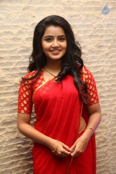 Anupama Parameswaran New Pics - 2 of 60