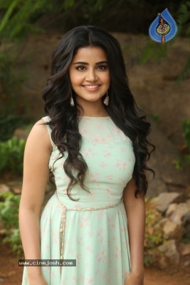 Anupama Parameswaran New Pics - 27 of 41