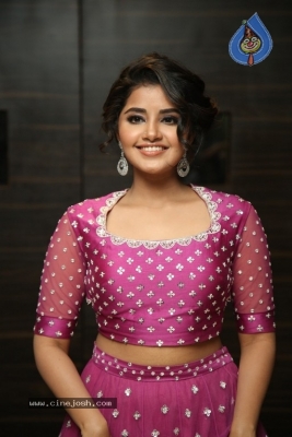 Anupama Parameswaran Photos - 23 of 31