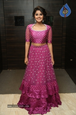 Anupama Parameswaran Photos - 28 of 31