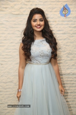 Anupama Parameswaran Stills - 33 of 36