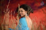 Anupriya Hot Stills - 46 of 119