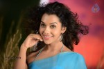 Anupriya Hot Stills - 48 of 119