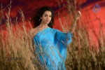 Anupriya Hot Stills - 49 of 119
