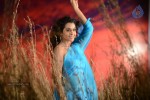 Anupriya Hot Stills - 56 of 119
