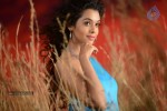 Anupriya Hot Stills - 94 of 119
