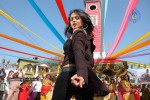 Anushka New Gallery - 37 of 41