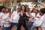 Anushka New Gallery - 37 of 41