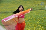 Anushka New Photos - 9 of 58