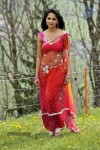 Anushka New Photos - 44 of 58