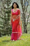 Anushka New Photos - 47 of 58