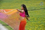 Anushka New Photos - 48 of 58