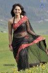 Anushka New Stills - 5 of 64