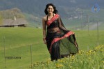 Anushka Stills in Dhamarukam - 15 of 36