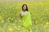 Anushka Gallery - 28 of 32
