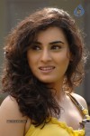 Archana New Stills - 20 of 81