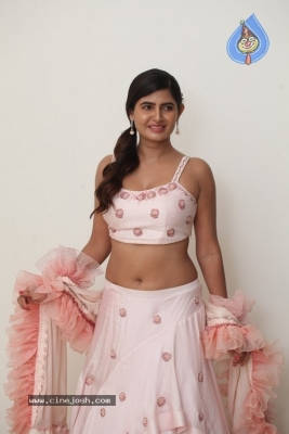 Ashima Narwal New Photos - 6 of 13