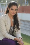 Asmita Sood New Pics - 51 of 46