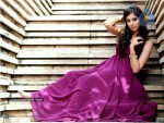Bhanu Sree Mehra Latest Pictures  - 2 of 24