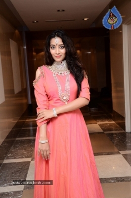 Bhanu Sri Latest Pics - 7 of 26