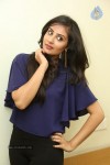 Bhanu Sri Mehra Latest Photos - 64 of 109