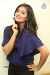 Bhanu Sri Mehra Latest Photos - 66 of 109