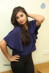 Bhanu Sri Mehra Latest Photos - 43 of 109