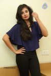 Bhanu Sri Mehra Latest Photos - 44 of 109