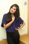 Bhanu Sri Mehra Latest Photos - 63 of 109