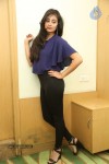 Bhanu Sri Mehra Latest Photos - 65 of 109