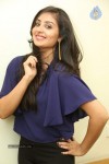 Bhanu Sri Mehra Latest Photos - 78 of 109