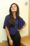Bhanu Sri Mehra Latest Photos - 96 of 109