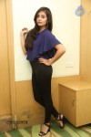 Bhanu Sri Mehra Latest Photos - 104 of 109