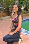 Bhanu Sri Mehra Latest Stills - 65 of 69