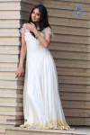 Bhanu Sri Mehra New Photos - 45 of 68