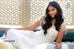 Bhanu Sri Mehra New Photos - 54 of 68
