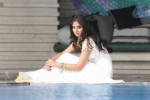 Bhanu Sri Mehra New Photos - 44 of 68